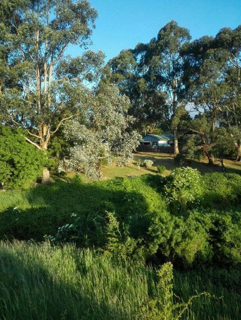 Cozy Stay Cottage - Lennox Head Accommodation 3