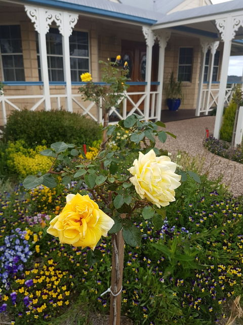 Grovely House Bed & Breakfast - Lennox Head Accommodation 3
