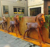Four Ponies - Lennox Head Accommodation