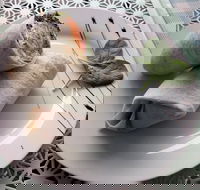 Cafe Lazat - Lennox Head Accommodation