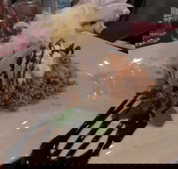 Marrakech Restaurant - Lennox Head Accommodation