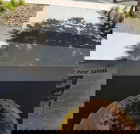 Queen of Tarts Toronto  Cessnock - Lennox Head Accommodation