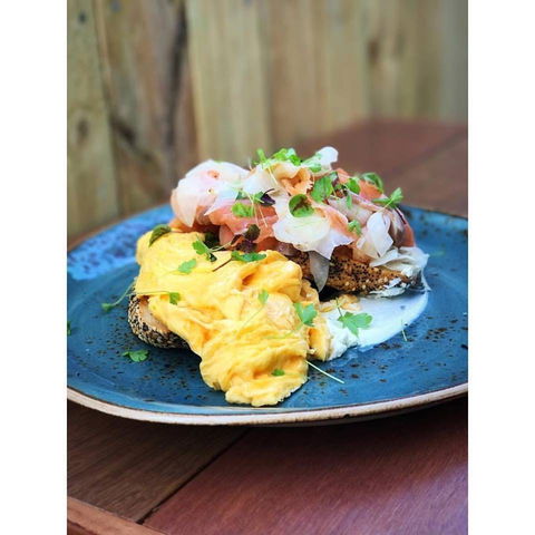 Mr Spofforth - Lennox Head Accommodation 0