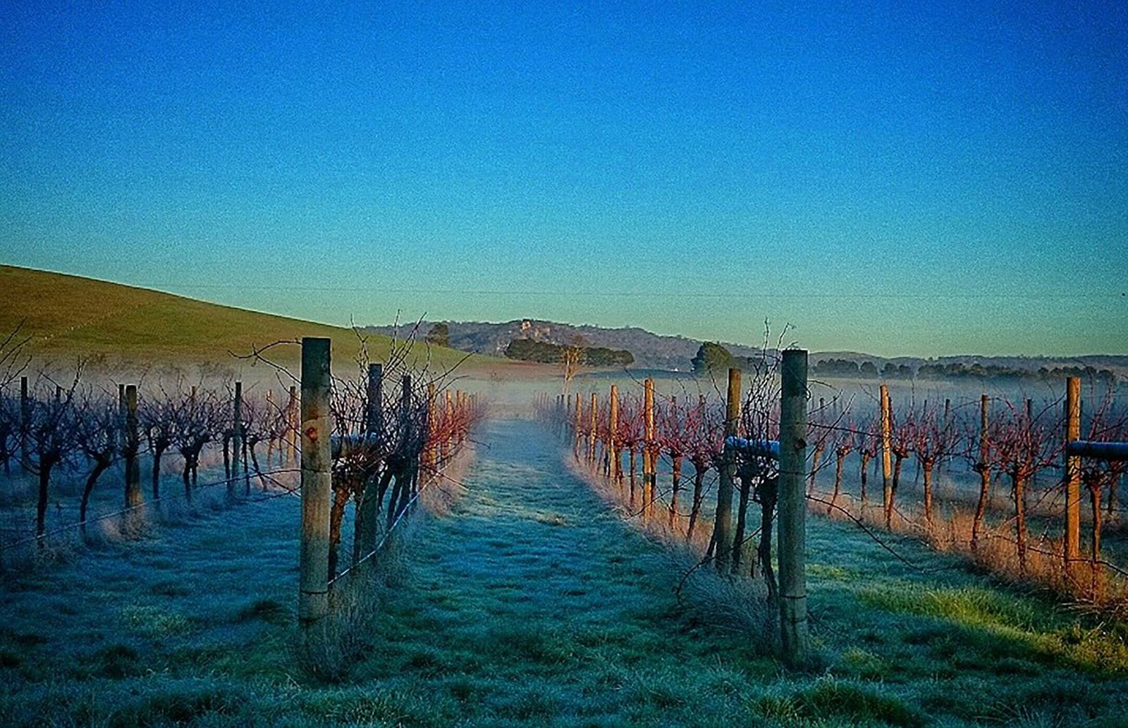 Lennox Head Accommodation