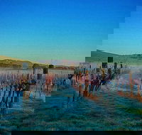 Eastern Peake Winery - Lennox Head Accommodation