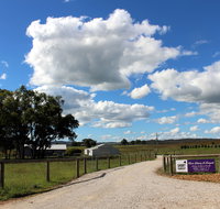 Short Sheep Micro-Winery - Lennox Head Accommodation