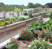 The Farmer's Place - Lennox Head Accommodation