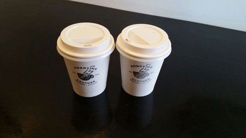 Annoying Brother - Lennox Head Accommodation 0