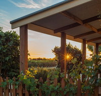 Caf in the Vines - Lennox Head Accommodation