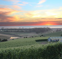 Cape Bernier Vineyard - Lennox Head Accommodation