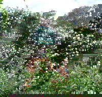 The Cidery - Lennox Head Accommodation