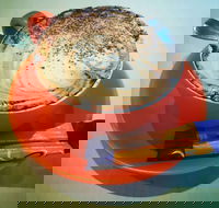 Arthur Radley - Lennox Head Accommodation