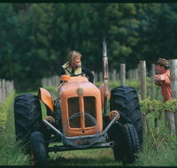 Oranje Tractor Wine - Lennox Head Accommodation
