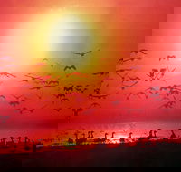 TINH and LAN Vietnamese Restaurant - Lennox Head Accommodation