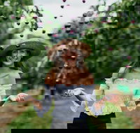 Cherryhill Orchards - Lennox Head Accommodation