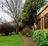 Glen Derwent Tea Rooms - Lennox Head Accommodation