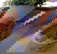 Hello Gelo - Lennox Head Accommodation