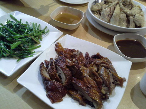 G Tree Cafe - Lennox Head Accommodation 0