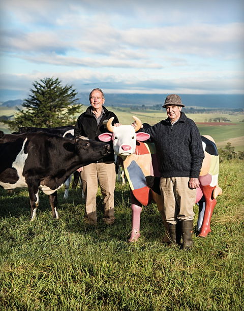 Ashgrove Farm Cheese - Lennox Head Accommodation 1