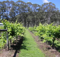 Woongooroo Estate Winery - Lennox Head Accommodation