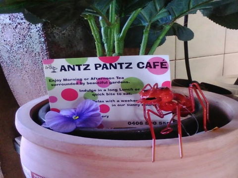 Antz Pantz Cafe - Lennox Head Accommodation 0