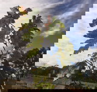 Banca Ridge Cellar Door and Vineyard - Lennox Head Accommodation