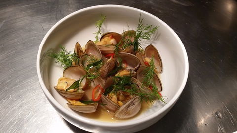 Anchovy - Lennox Head Accommodation 0