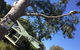 The Grove Vineyard Cafe - thumb 0