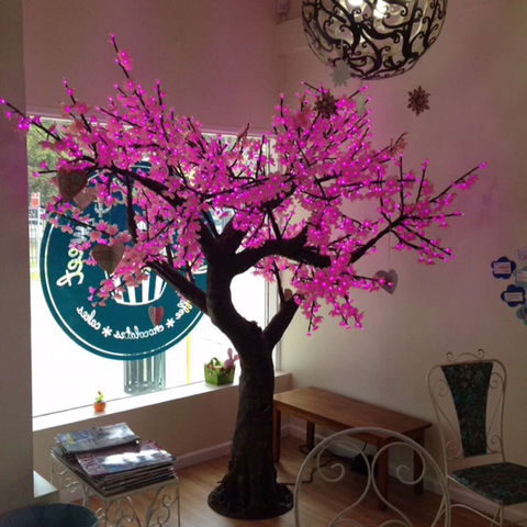 Keep It Short And Sweet - Lennox Head Accommodation 0