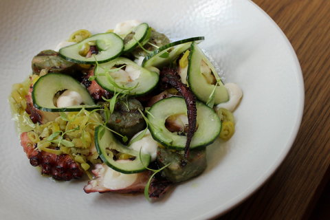 Petition Kitchen - Lennox Head Accommodation 1