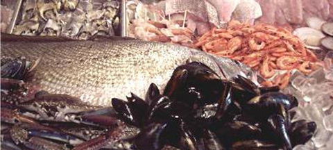 Lifeboat Seafood - Lennox Head Accommodation 1