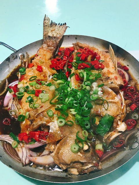 Chilli Panda - Lennox Head Accommodation 5