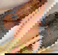 KFC - Lennox Head Accommodation