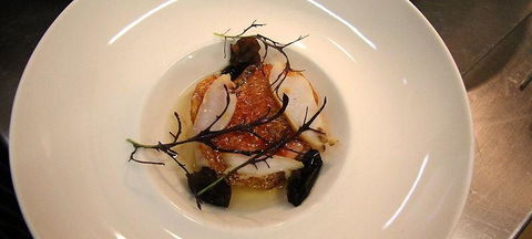 The Peak Restaurant At Spicers Peak Lodge - Lennox Head Accommodation 1