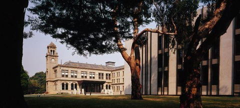 Albert Park Hotel - Lennox Head Accommodation 2