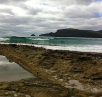 Bruny Island Berry Farm - Lennox Head Accommodation
