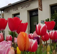Tiny Tea Shop - Lennox Head Accommodation