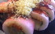 On A Roll Sushi - thumb 2