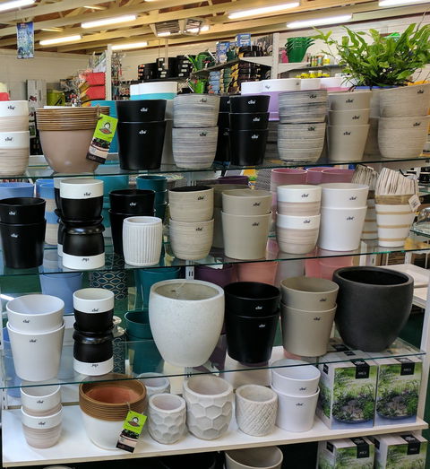 Chantelle's Coffee Garden - Lennox Head Accommodation 2