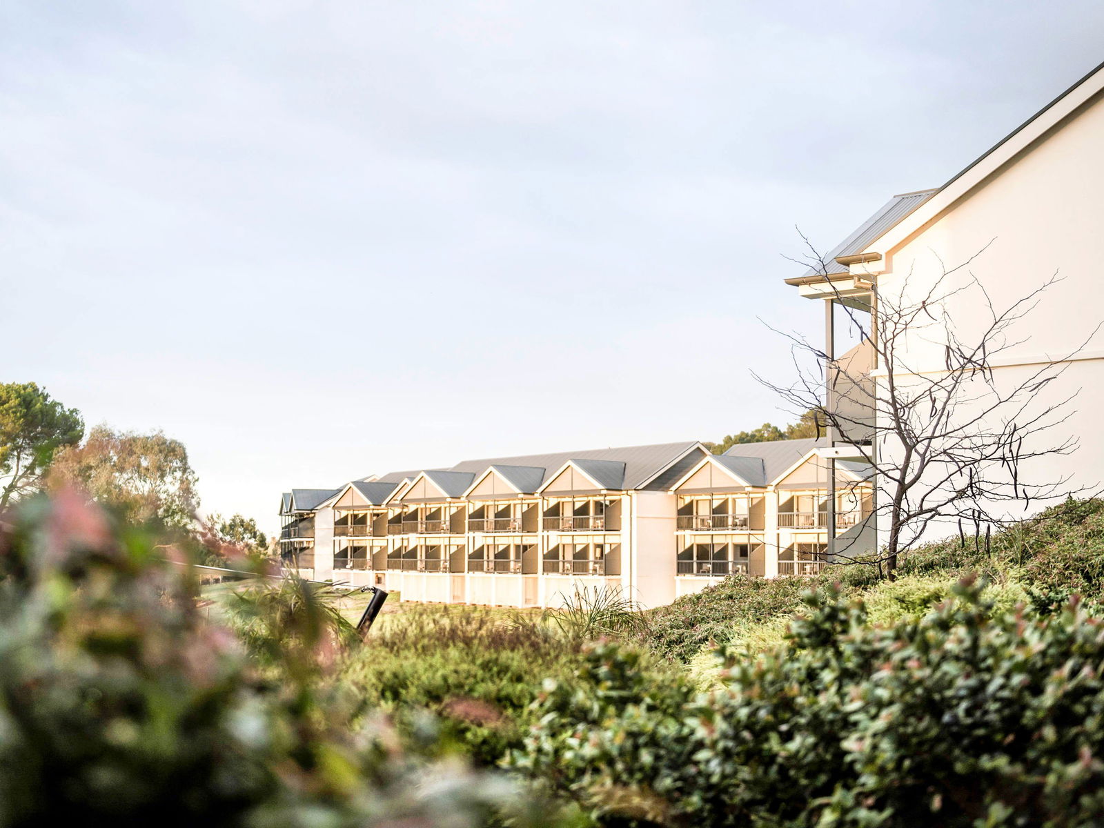 Australia Plains SA Lennox Head Accommodation