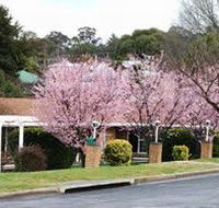 White Lanterns Motel - Lennox Head Accommodation