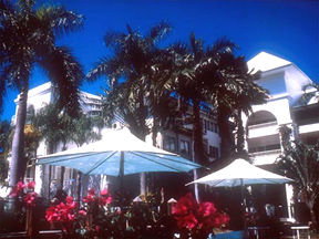 Alamanda Palm Cove - Lennox Head Accommodation 1