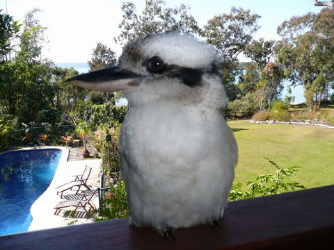 Yarrandabbi Dreaming Boutique B&B - Lennox Head Accommodation 2