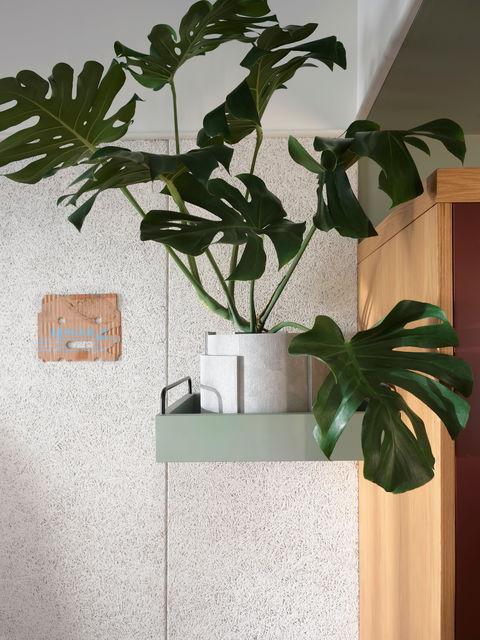 ACE Hotel Sydney - Lennox Head Accommodation 0