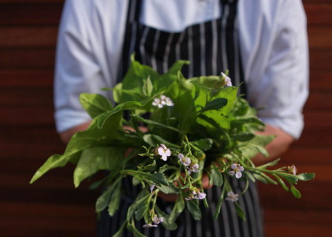 Bangalay Luxury Villas - Lennox Head Accommodation 35