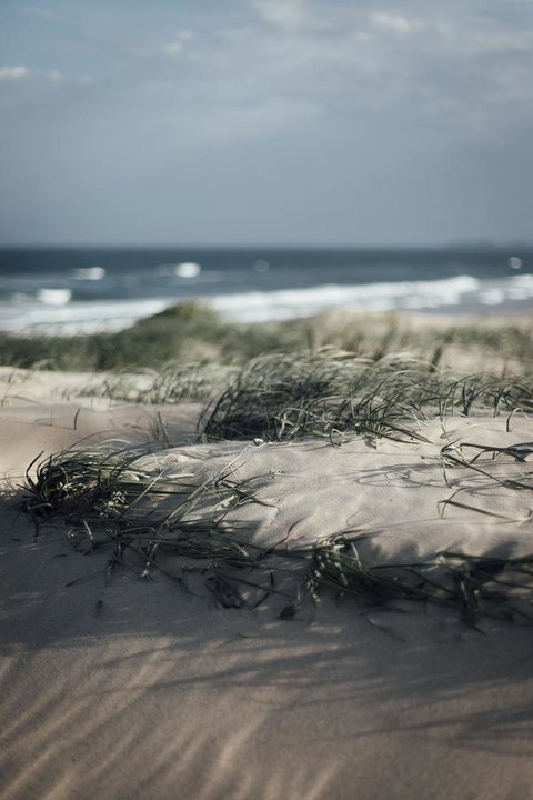 Bangalay Luxury Villas - Lennox Head Accommodation 9