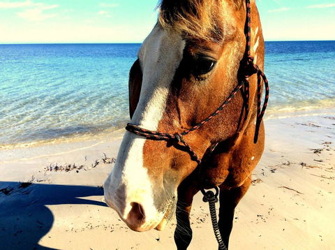 Lure Bed And Breakfast - Lennox Head Accommodation 15