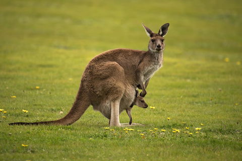 Lure Bed And Breakfast - Lennox Head Accommodation 20