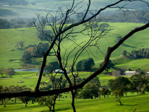 Lure Bed And Breakfast - Lennox Head Accommodation 21