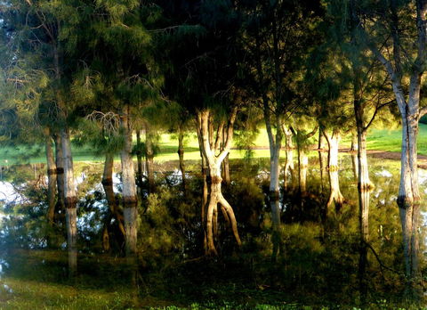 Lure Bed And Breakfast - Lennox Head Accommodation 18